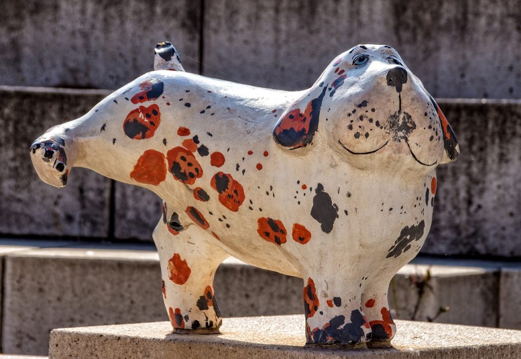 domowe-sposoby-zeby pies-nie-sikal-w-domu