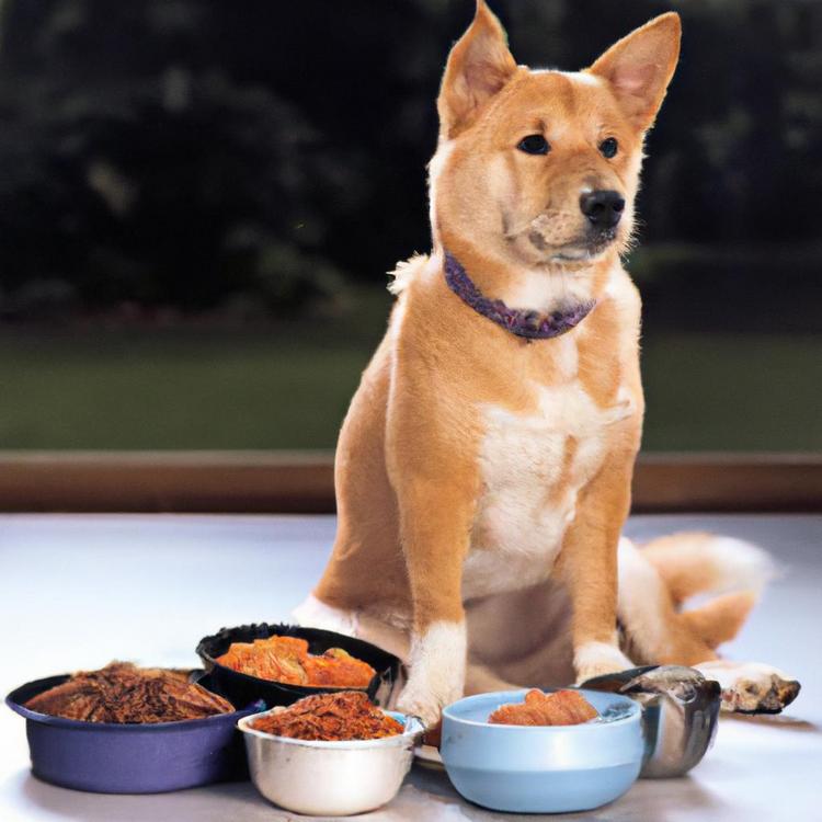 Ile powinien jeść pies? Kalkulator